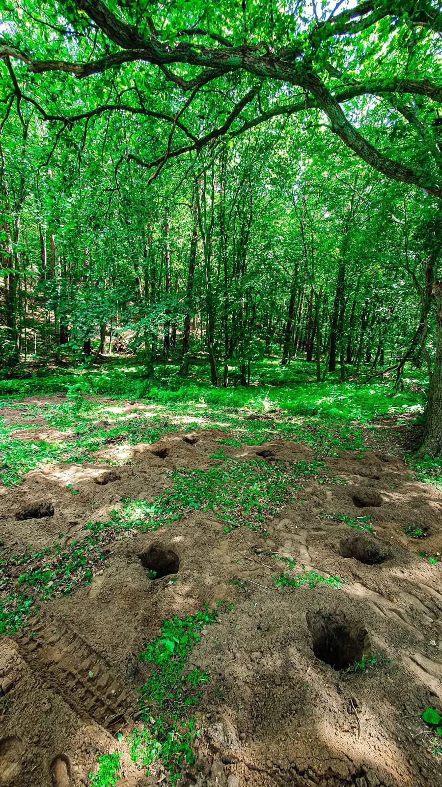 Wiercenie otworów pod ogrodzenie